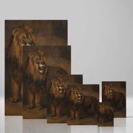 Lion from Menagerie - Majestic Wildlife Scene 1808 By Pieter Gerardus van Os 