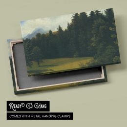 Pine Forest Clearing Canvas Wall Art Print