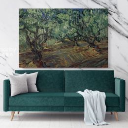 Olive Grove Painting by Vincent Van Gogh Dutch Painter Original Canvas Wall Art