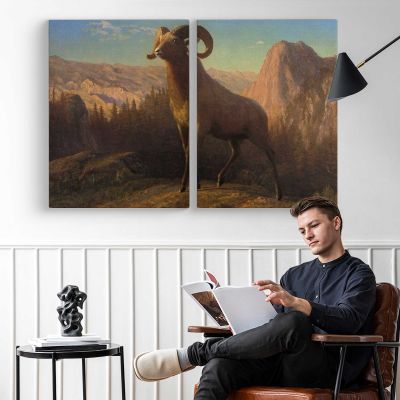 A Rocky Mountain Sheep Ovis Montana by Albert Bierstadt Canvas Wall Art Print