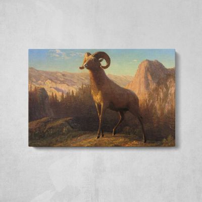 A Rocky Mountain Sheep Ovis Montana by Albert Bierstadt Canvas Wall Art Print