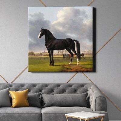 Adriaan van der Hoop's Trotter 'De Vlugge' (The Fast One) in a Meadow (1828) by Anthony Oberman Square Canvas Wall Art