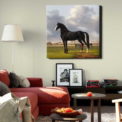 Adriaan van der Hoop's Trotter 'De Vlugge' (The Fast One) in a Meadow (1828) by Anthony Oberman Square Canvas Wall Art