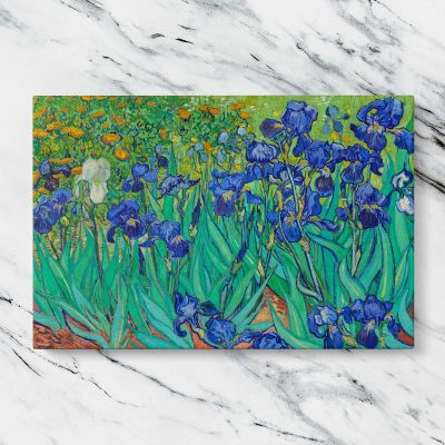 Irises by Vincent van Gogh Canvas Wall Art Print