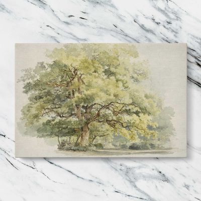 Study of a Tree by George Andries Roth Canvas Wall Art Print