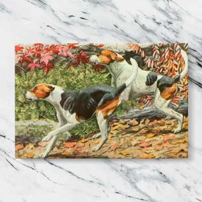 English and American Foxhounds Canvas Wall Art Print