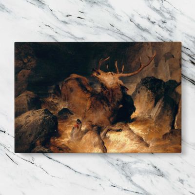 Deer and Deer Hounds in a Mountain Torrent by Edwin Landseer Canvas Wall Art Print