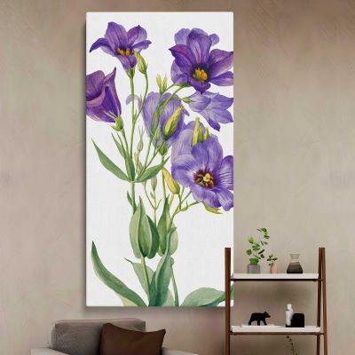 Eustoma russelianum 1930 by Mary Vaux Walcott Canvas Wall Art Print