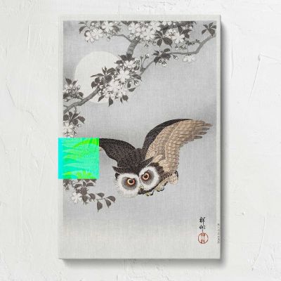 Scops Owl with Cherry Blossoms and Moon by Ohara Koson Canvas Print