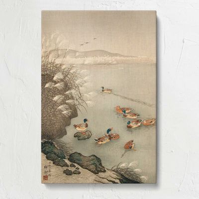 Mallard Ducks beside Pampas Grass by Ohara Koson Canvas Print