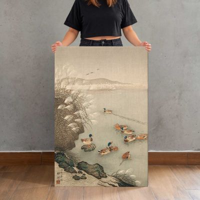 Mallard Ducks beside Pampas Grass by Ohara Koson Canvas Print
