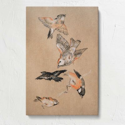 Finches Bird Study Canvas Print