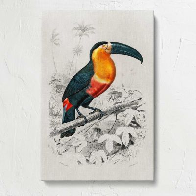 Toucan on a Branch Canvas Print