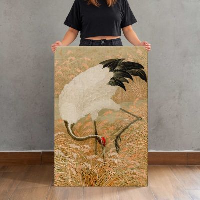 Sarus Crane in a Rice Field Canvas Print