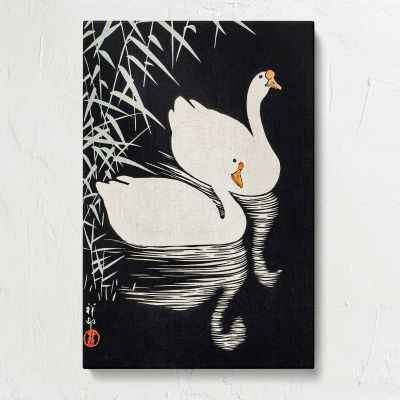 White Chinese Geese Swimming by Reeds Canvas Print