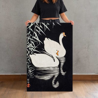 White Chinese Geese Swimming by Reeds Canvas Print