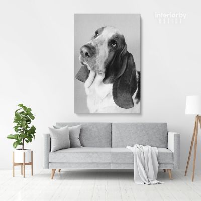 Cute Dog Portrait Pet Dog Canvas Wall Art