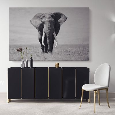 Black and White Elephants Photography Canvas Wall Art