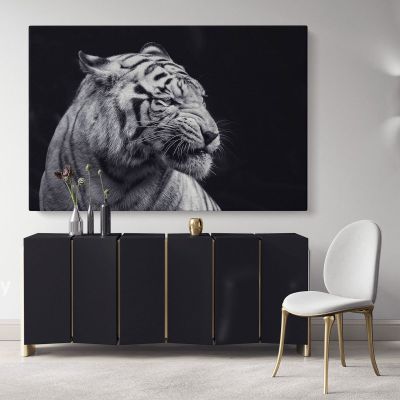Tiger Large Black and White Photography Canvas Wall Art