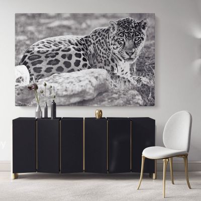 Large Tiger Black and White Photography Canvas Wall Art