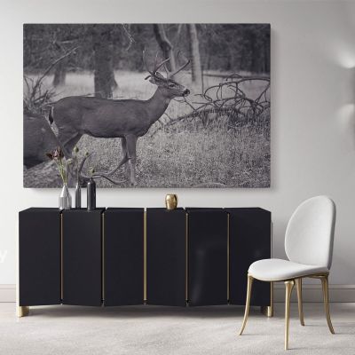 Reindeer Black and White Photography Canvas Wall Art