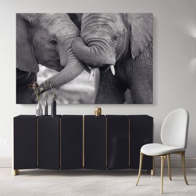 Black and White Elephants Photography Canvas Wall Art
