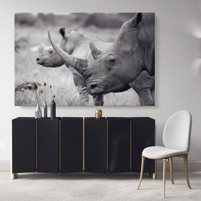 Rhinoceros Black and White Photography Canvas Wall Art