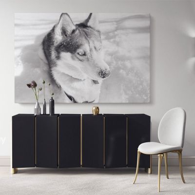 Husky Wolf Black and White Photography Canvas Wall Art