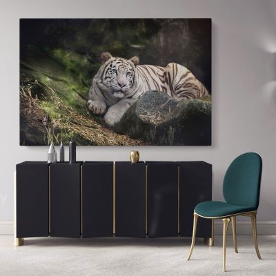White Tiger Canvas Photography Canvas Wall Art