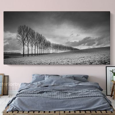Panoramic Black and White Photography Canvas Wall Art