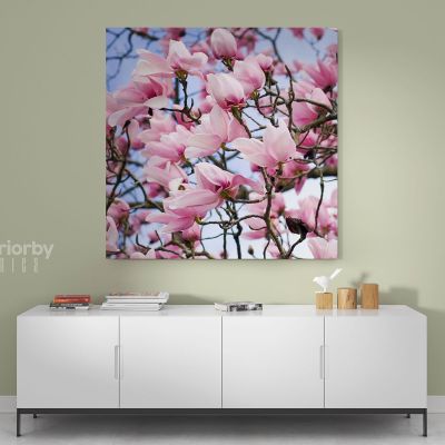 Pink Magnolia Flower Canvas Wall Art