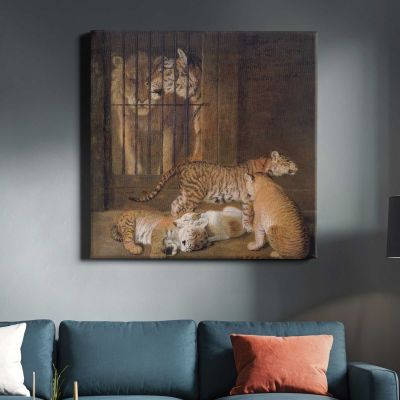 Group of Whelps Bred between a Lion and a Tigress (1825) painting Jacques–Laurent Agasse Square Canvas Wall Art
