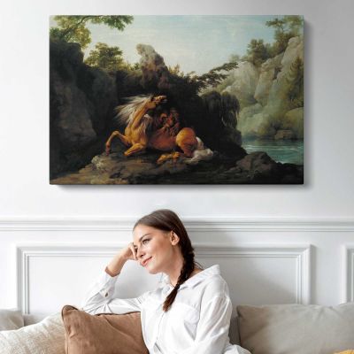 Horse Devoured by George Stubbs Canvas Wall Art Print