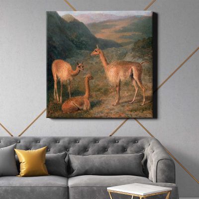 Vicunas (1831) painting Jacques–Laurent Agasse Square Canvas Wall Art