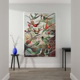 Trochilidae Kolibris - Tropical Hummingbirds Scientific Print By Ernst Haeckel - Image 2