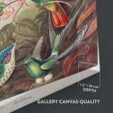 Trochilidae Kolibris - Tropical Hummingbirds Scientific Print By Ernst Haeckel - Image 3