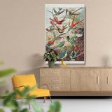 Trochilidae Kolibris - Tropical Hummingbirds Scientific Print By Ernst Haeckel - Image 5
