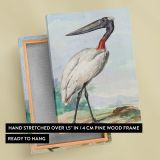 Jabiru - Serene Long-Legged Bird in Landscape By Aert Schouman canvas wall art - Image 6