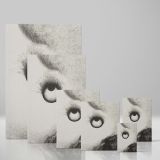 Everywhere Eyeballs Are Aflame - Symbolic Eye Vision Art By Odilon Redon canvas wall art - Image 4