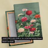 Flowers - Colorful Vintage Zinnia Blooms By L. Prang & Co. canvas wall art - Image 6