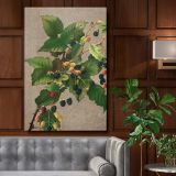 Blackberries - Ripe Botanical Berries Print By L. Prang & Co.