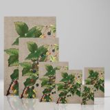 Blackberries - Ripe Botanical Berries Print By L. Prang & Co. - Image 4