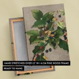Blackberries - Ripe Botanical Berries Print By L. Prang & Co. - Image 6