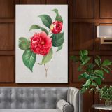 Red Rose - Lush Botanical Illustration with Leaves By Pierre-Joseph Redout canvas wall art