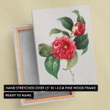 Red Rose - Lush Botanical Illustration with Leaves By Pierre-Joseph Redout canvas wall art - Image 6