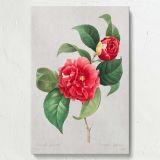 Red Rose - Lush Botanical Illustration with Leaves By Pierre-Joseph Redout canvas wall art - Image 7