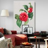 Red Rose - Lush Botanical Illustration with Leaves By Pierre-Joseph Redout canvas wall art - Image 8