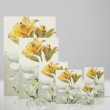 Yellow and White Lilies - Elegant 18th Century Florals By William van Leen canvas wall art - Image 4