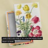 Bouquet of Tulips, Violets & Grapes - Vintage Floral Detail By Willem van Leen canvas wall art - Image 6