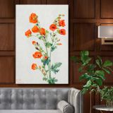 Scarlet Globe Mallow - Red Wildflower Botanical Watercolor By Mary Vaux Walcott canvas wall art